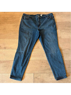 Women's Terra & Sky Skinny Jeans Blue Size 22W